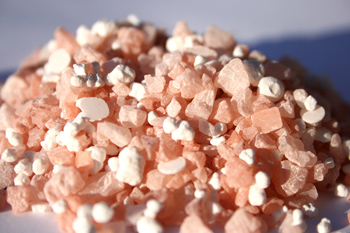 salt1